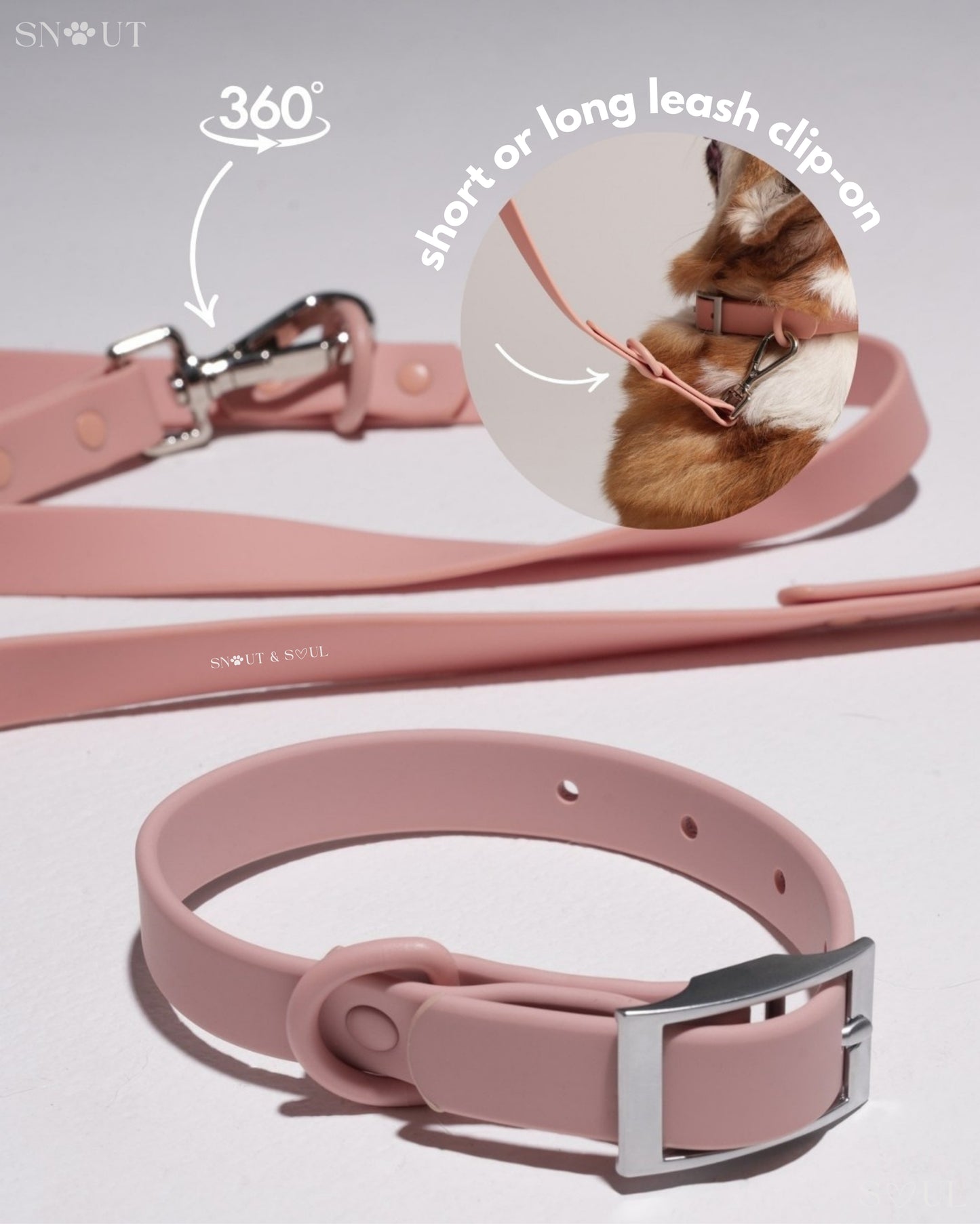 Leash
