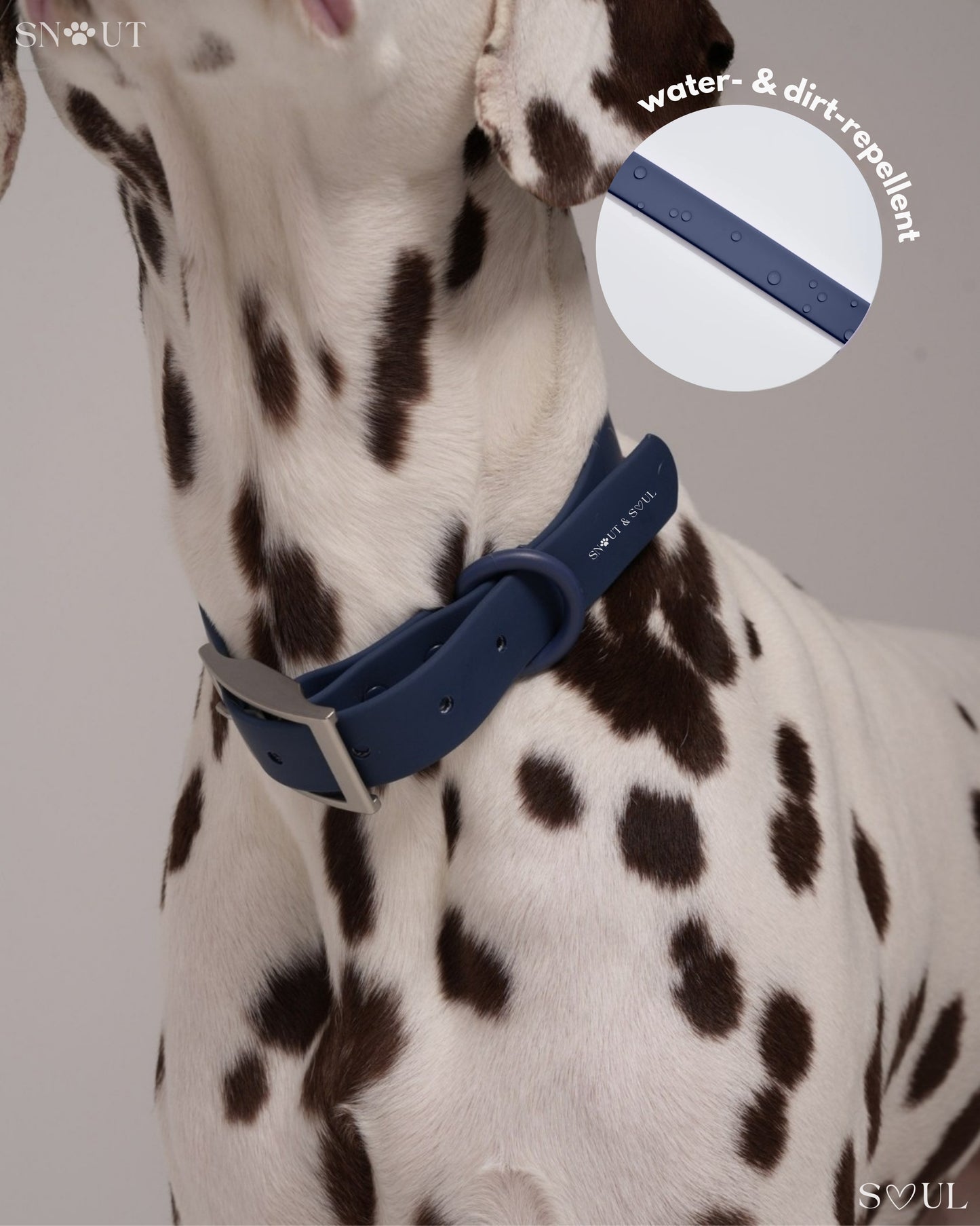 Collar