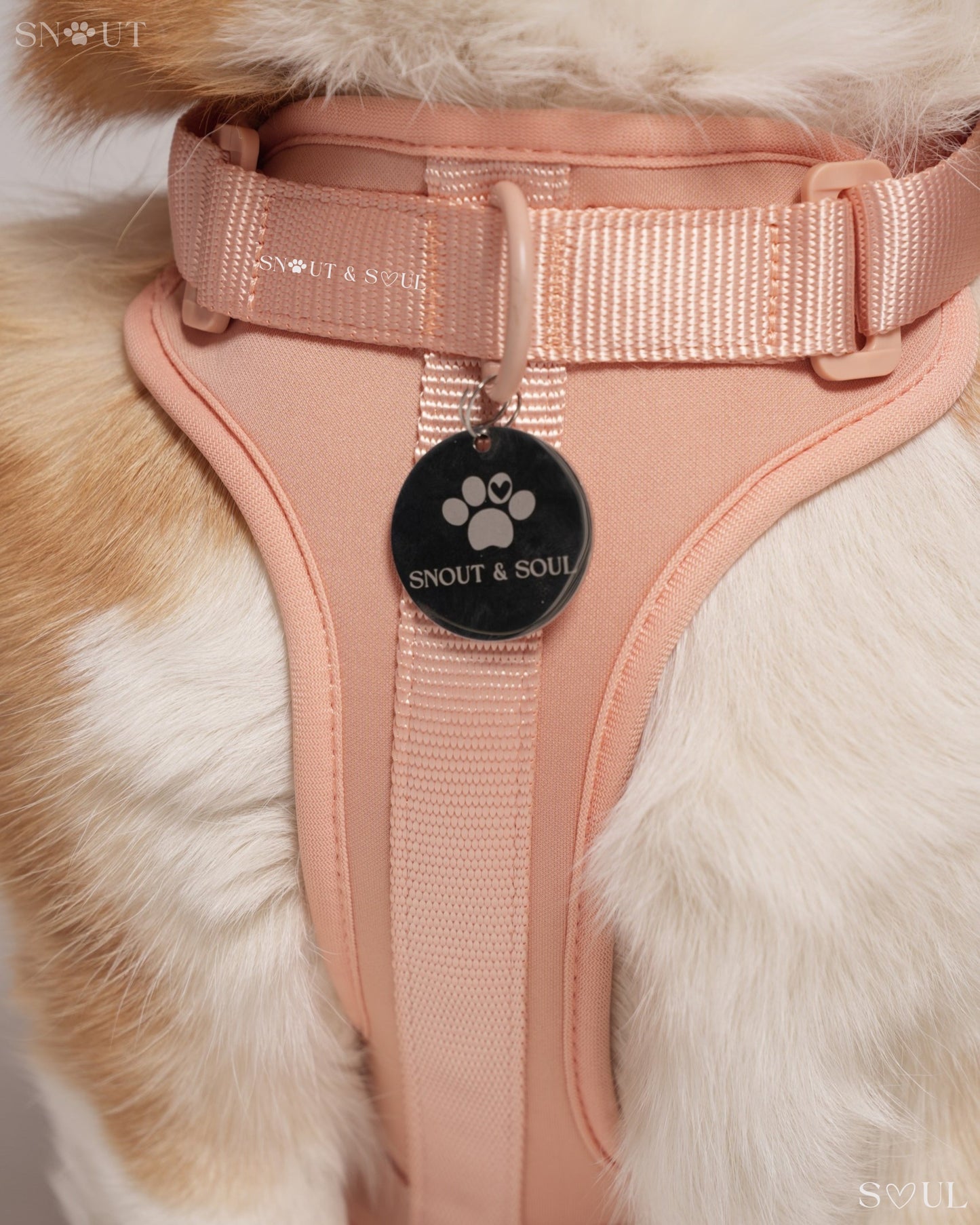Harness