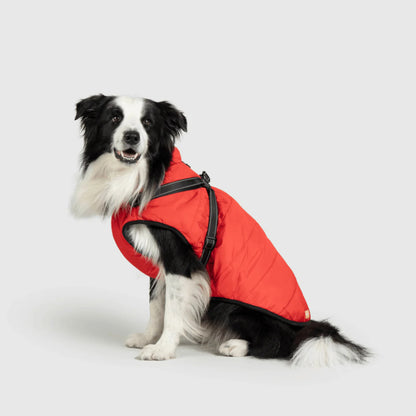 Water resistant Winter Jacket for Dogs