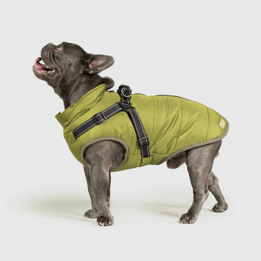 Water resistant Winter Jacket for Dogs