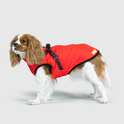 Water resistant Winter Jacket for Dogs