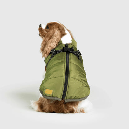 Water resistant Winter Jacket for Dogs